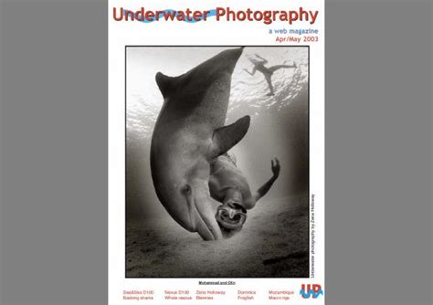underwater photography magazine    uwp