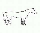 Horse Coloring Pages Printable Stencil Anatomy Info sketch template
