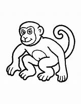 Monkeys Coloring Kids Pages Color Few Details sketch template