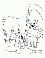 Coloring Animals Pages Bear Their Babies Mother Cub Baby Father Cubs Polar Young Ones His Drawing Kids Chicago Logo Waiting sketch template
