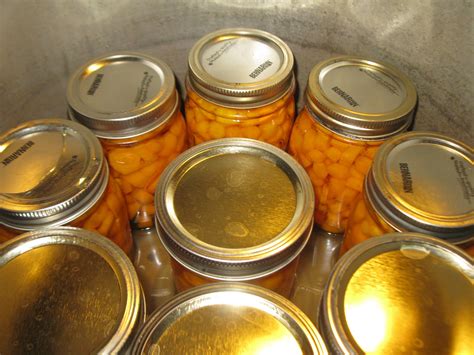 simply homemaking canning carrots