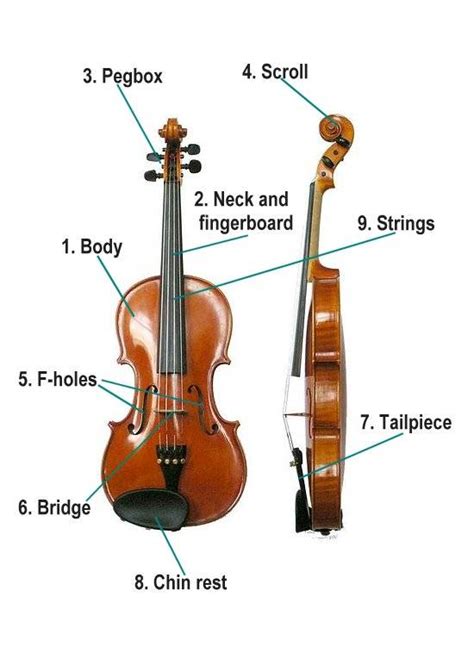 kids parts   violin