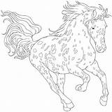 Coloring Horse Pages Appaloosa Horses Dementia Drawing Drawings Printable Color Adult Dover Books Draw Sheets Colouring Adults Publications Haven Creative sketch template