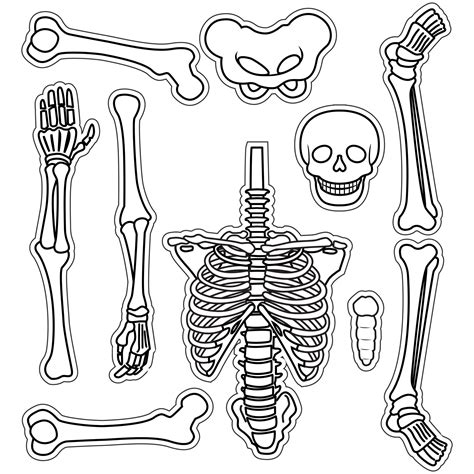 printable skeleton template