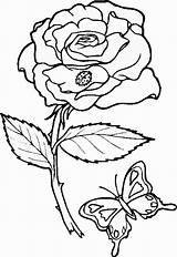 Flowers Coloring Pages sketch template