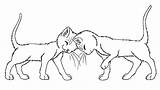 Warrior Coloring Cat Pages Cats Lineart Wildpathofshadowclan Kit Kits Warriors Mates Tabby Erin Hunter Base Print Template Deviantart Popular Group sketch template