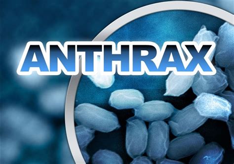 report fbis anthrax investigation  flawed
