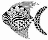 Zentangle Fish Patterns Tangle Zentangles Drawing Doodle Draw Drawings Animal Coloring Easy Adult Pattern Flickr Poisson 800wi Zen Pages Blank sketch template
