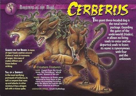 cerberus mythological creatures greek mythological creatures mythical monsters