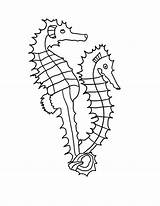 Seahorse Sharp Spines Coloring Two sketch template