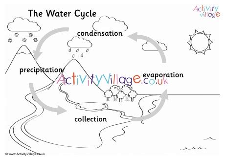 water cycle colouring page