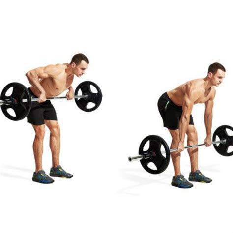 barbell bent over row effective bodybuilding workouts