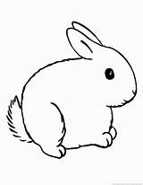 Rabbit Coloring Pages sketch template