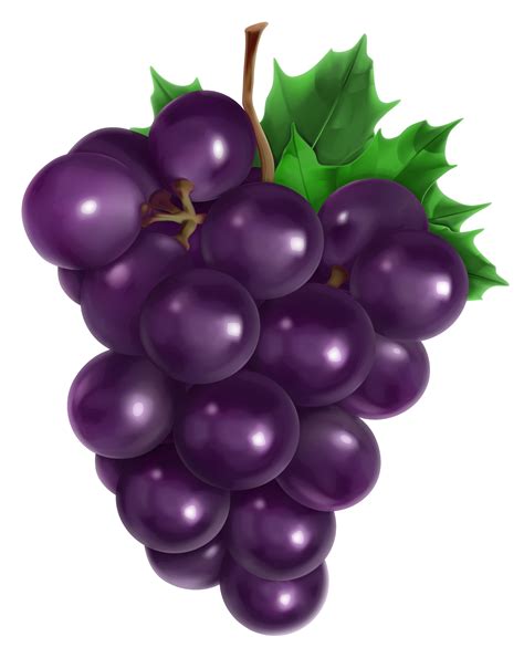 grapes fruit clip art library