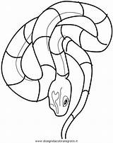 Serpente Schlangen Snake Malvorlage Schlange Serpenti Vipera Corallo Ausmalbilder Stampare Beste Bull Reptilien Precedenti Kategorien sketch template