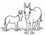 Donkey Coloring Pages Baby Drawing Head Printable Color Print Getcolorings Getdrawings sketch template
