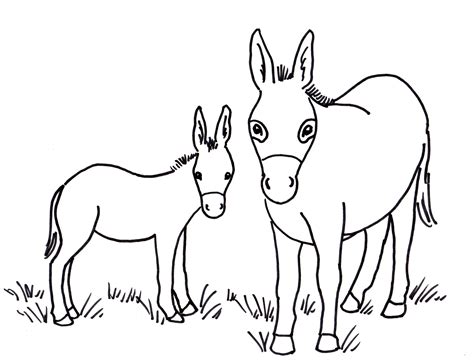 donkey coloring page art starts