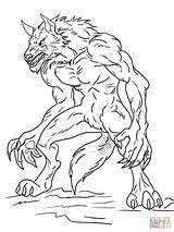Coloring Werwolf Ausdrucken Kostenlos sketch template