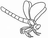 Libellule Dragonfly Outline Coloriages Ko Clipartmag sketch template