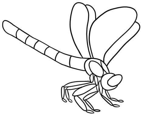 dragonfly printable coloring pages