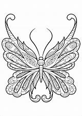 Papillon Coloriage Fleur Insectes sketch template