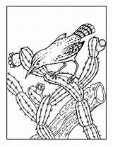 Cactus Intense Kaktus Bestcoloringpagesforkids Wren Getdrawings Doodles sketch template