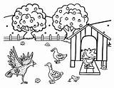 Farm Coloring Hen Chicken Animal Kids sketch template