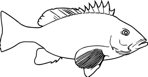 realistic cartoon fish coloring page sheet