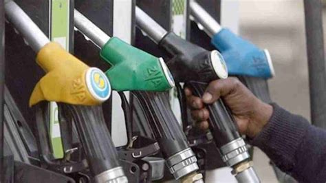 petrol diesel prices rise   consecutive      rates