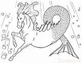 Hippocampus Kelpie Postcards sketch template
