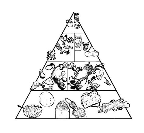 food pyramid  healthy life coloring pages  print
