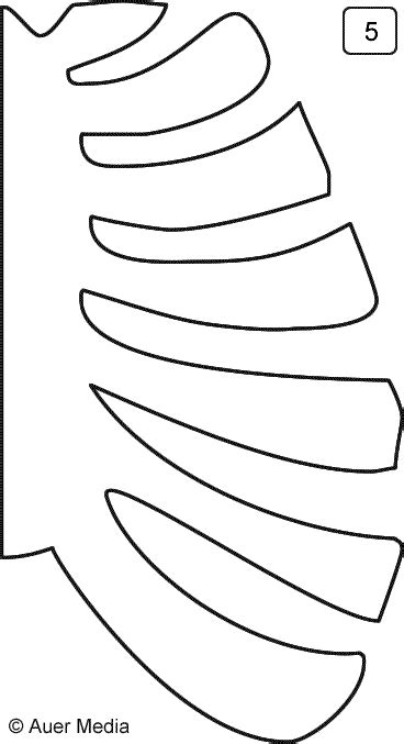 human ribs coloring pages