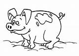 Pig Coloring Pages Funny Creature Kids sketch template