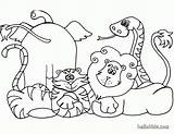 Coloring Safari Pages Kids Animals Popular sketch template