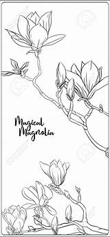 Magnolia sketch template