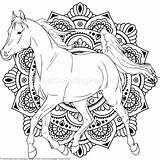 Mandala Horse Coloring Pages Printable Adult Herd Getdrawings Color Getcolorings Print Choose Board sketch template