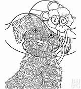 Maltese Puppy Mandala Bichonmaltestoy sketch template
