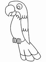 Cut Template Bird Coloring Parrot sketch template