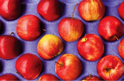 red apples  arranged   purple surface