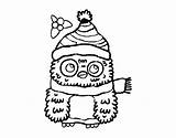 Christmas Owl Ready Coloring Coloringcrew sketch template