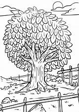 Drzewo Druku Kolorowanka Ogrodzie Drzewa Kolorowanki sketch template