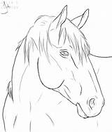 Horse Drawing Drawings Coloring Head Line Pages Horses Lineart Deviantart Easy Pencil Animal Cheval Simple Dessin Stencil Sketch Sheets Draw sketch template
