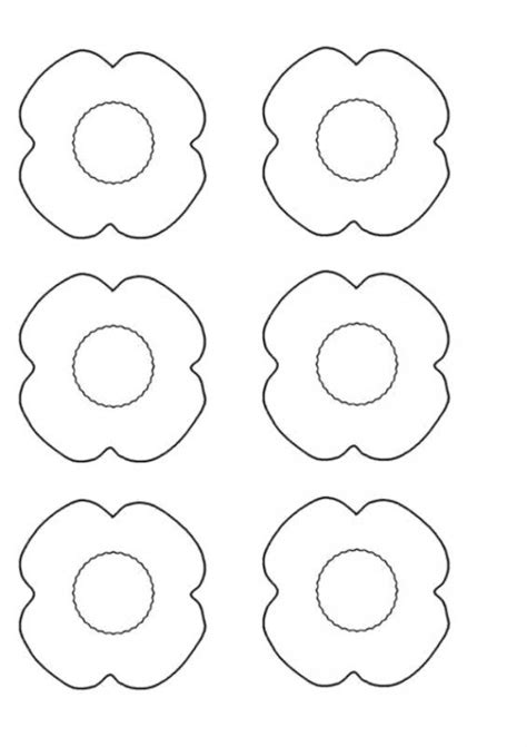 pin  sherry stephan  bw floral illustrations poppy template