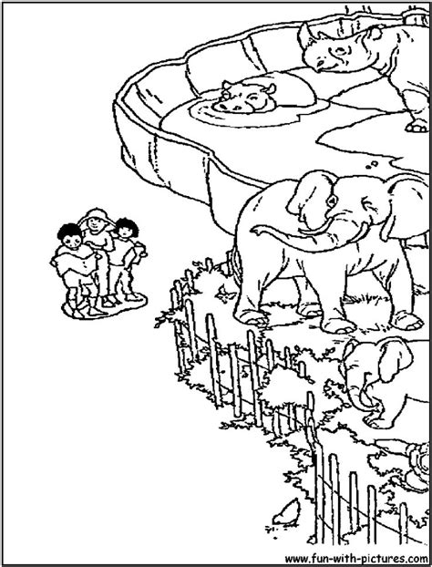 coloring pages  zoo animals coloring pages   set picture
