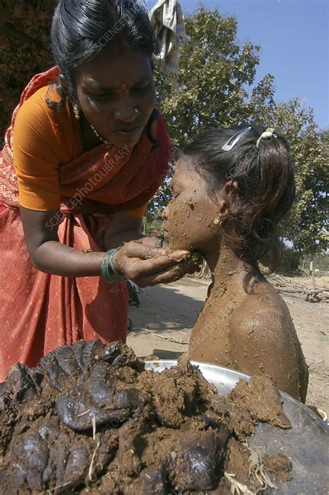 cow dung treatment india stock image c002 6922 science photo library