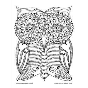 owl skeleton day   dead coloring page