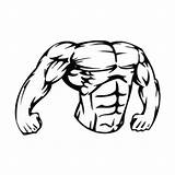 Body Chest Template Decal sketch template