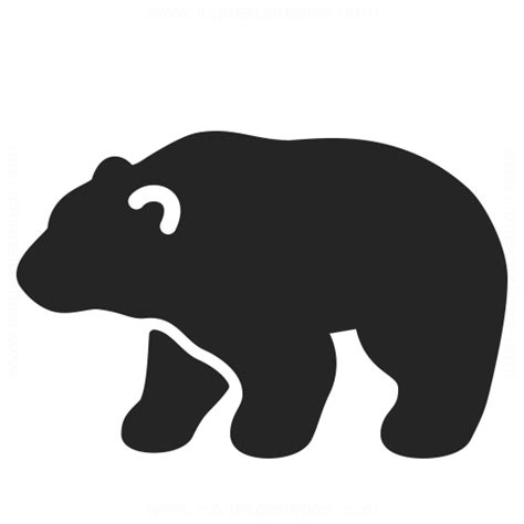 bear icon iconexperience professional icons  collection