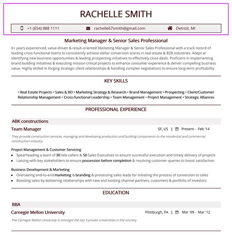 basic resume headings  resume examples