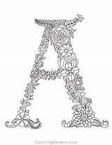 Alphabet Sheets Doodle Getcoloringpages sketch template